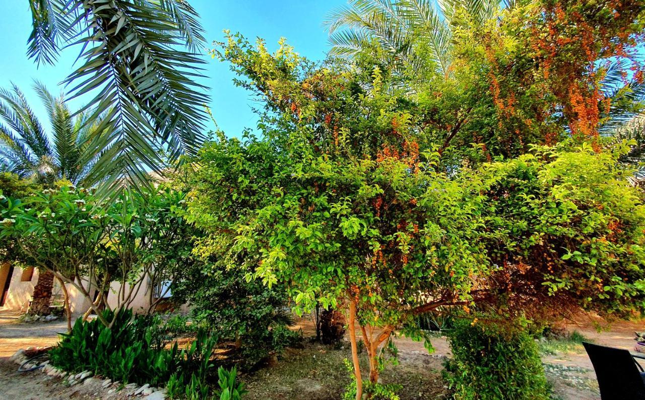 Sekhmet Retreat Centre Ξενοδοχείο Λούξορ Εξωτερικό φωτογραφία