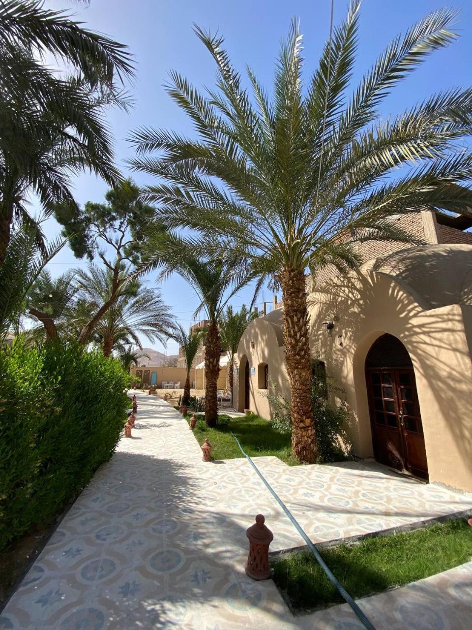Sekhmet Retreat Centre Ξενοδοχείο Λούξορ Εξωτερικό φωτογραφία