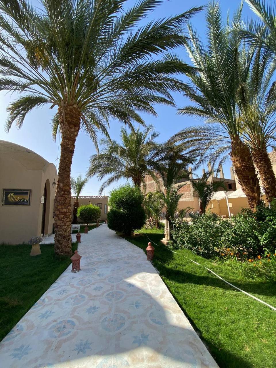 Sekhmet Retreat Centre Ξενοδοχείο Λούξορ Εξωτερικό φωτογραφία