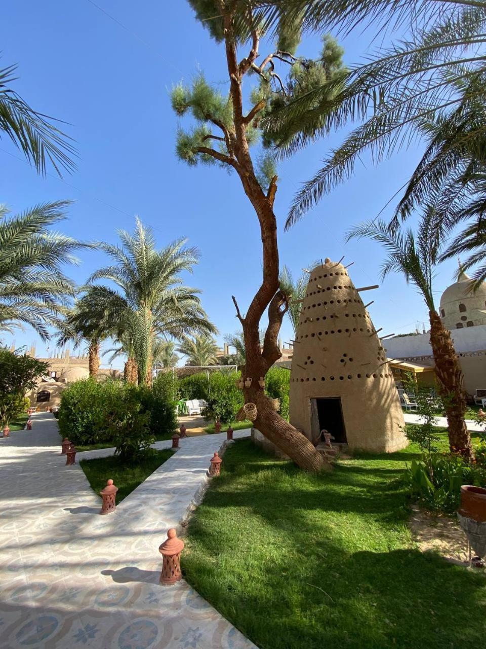 Sekhmet Retreat Centre Ξενοδοχείο Λούξορ Εξωτερικό φωτογραφία
