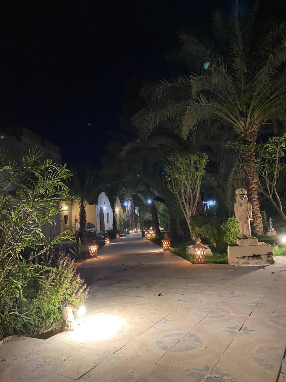 Sekhmet Retreat Centre Ξενοδοχείο Λούξορ Εξωτερικό φωτογραφία